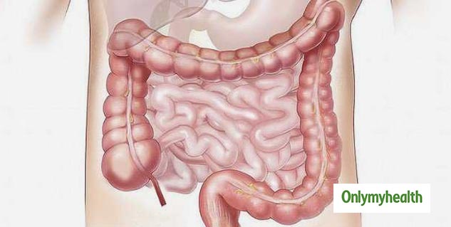 gut