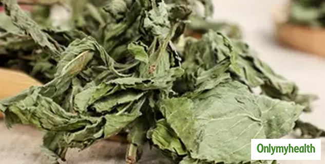 mint leaves benefits