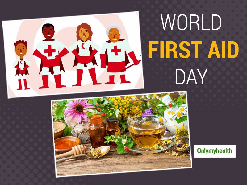 First Aid For Wellness Ayurvedic Folk Remedies More Page 2 Your