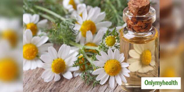 Chamomile Essential Oil For Babies 