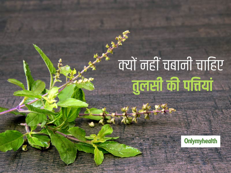 इस कारण से नहीं चबानी चाहिए तुलसी की पत्तियां ? जानें तुलसी के सेवन के 3 सुरक्षित तरीके 