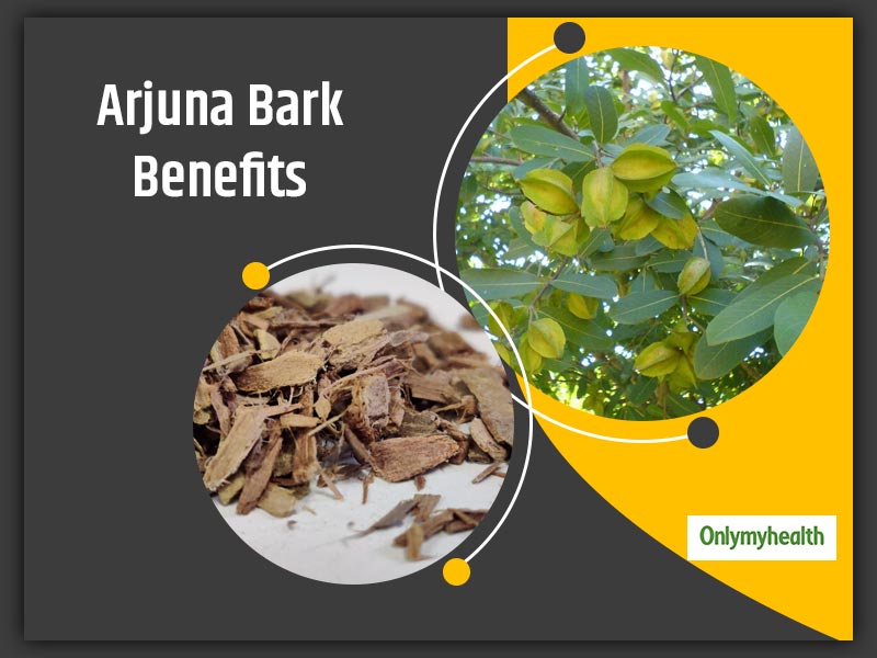 Terminalia Arjuna or Arjuna Tree Bark Benefits, Know Its Ayurvedic ...