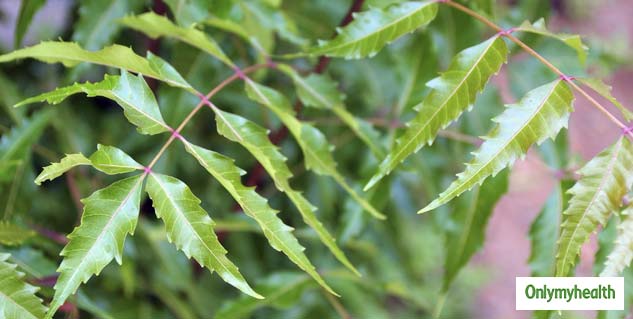 neem leaves benefits