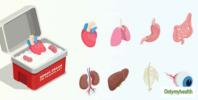 organ donate