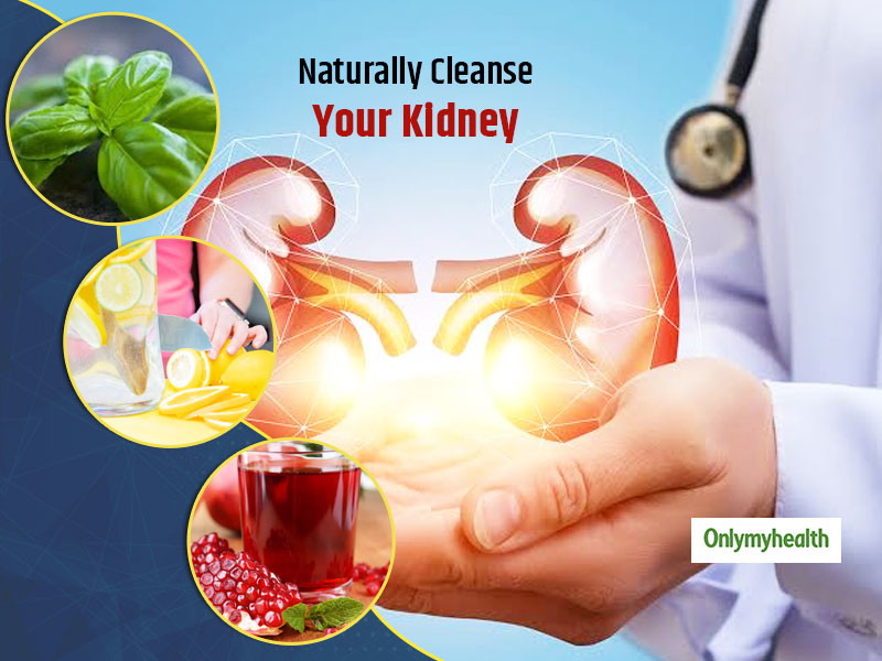 Want To Get Rid Of Kidney Stones Naturally? Here Are 6 Remedies For A Kidney Cleanse