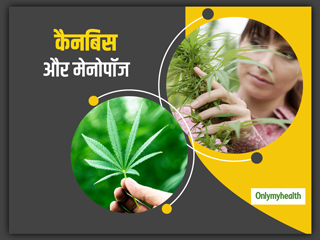 मेनोपॉज के लक्षणों को कंट्रोल करने में मददगार हो सकता है कैनबिस का उपयोग: शोध 