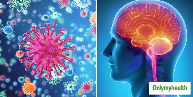 cat que virus risks in hindi