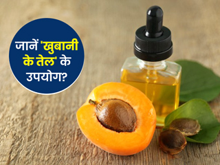 Apricot Oil: 'खुबानी के तेल' से सेहत को होते हैं ये 7 फायदे, जानें इसके उपयोग से होने वाले नुकसान भी