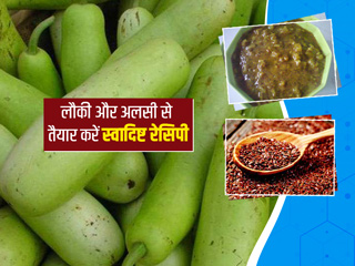 गर्मियों में अलसी और लौकी से बनाएं टेस्टी और हेल्दी डिश, एक्सपर्ट से जानें इसके फायदे और रेसिपी