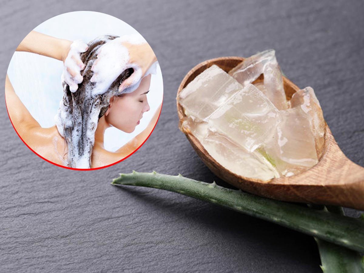 Share more than 85 hair cleanser kya hota hai super hot in.eteachers