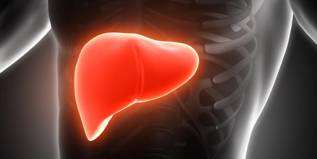 liver and jaundice connection
