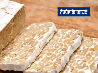पनीर और टोफू की तरह दिखने वाला टेम्पेह (Tempeh) भी होता है सेहत के लिए फायदेमंद, जानें इसे खाने के 7 फायदे
