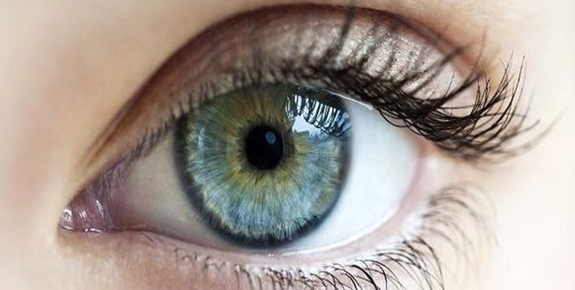 Inside2_Karanjabenefits