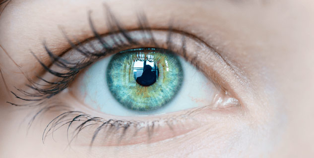 eye