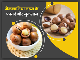 डायबिटीज और मोटापे को कंट्रोल करे मैकाडामिया नट्स, जानिए इसके 10 फायदे और कुछ नुकसान