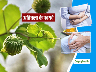 आयुर्वेद के अनुसार अतिबला (कंघी) का पौधा होता है कई रोगों में फायदेमंद, जानें इसके 7 फायदे और प्रयोग का तरीका