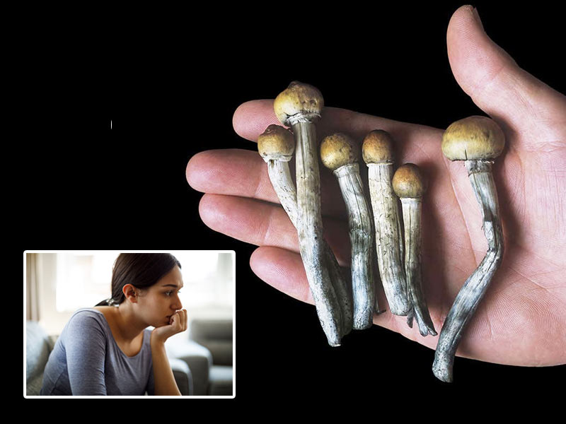 Consuming Magic Mushroom Might Save You From Depression: Study