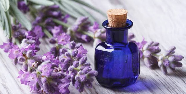 lavender oil