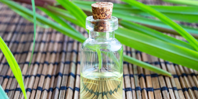 Soothe Summer Skin Rashes With These Essential Oils for Rashes