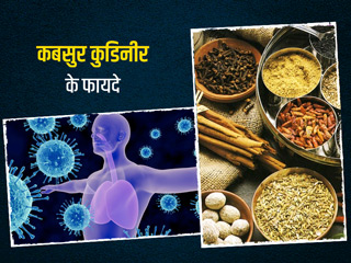 इम्यूनिटी बूस्टर है 15 जड़ी बूटियों से बना 'कबसुर कुडिनीर', जानें इसे घर पर बनाने का तरीका और फायदे