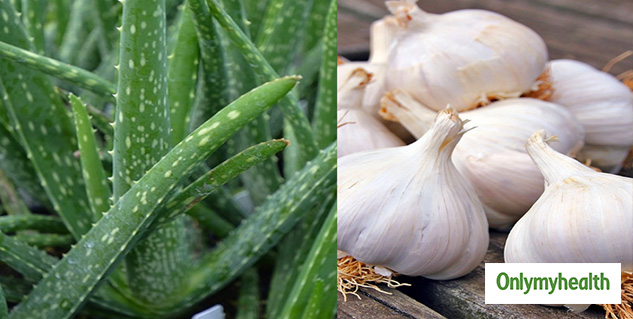 garlicaloevera
