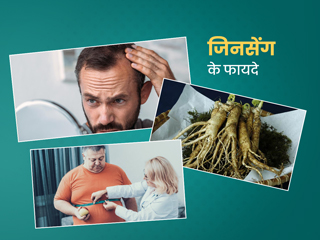 जिनसेंग के सेवन से स्वास्थ्य को मिलते हैं ये 6 फायदे, जानें इसके बारे में
