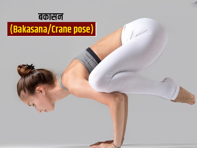बकासन करने का तरीका और फायदे - Bakasana (Crane Pose) steps and benefits in  Hindi