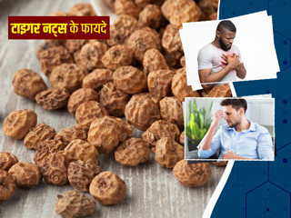 टाइगर नट्स खाने से सेहत को मिलते हैं ये 8 फायदे, जानें कितने हेल्दी होते हैं ये नट्स
