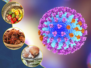 क्या आपको है वायरस और फ्लू से अटैक का डर? इन 5 चीजों के सेवन से Virus और Flu से करें खुद का बचाव