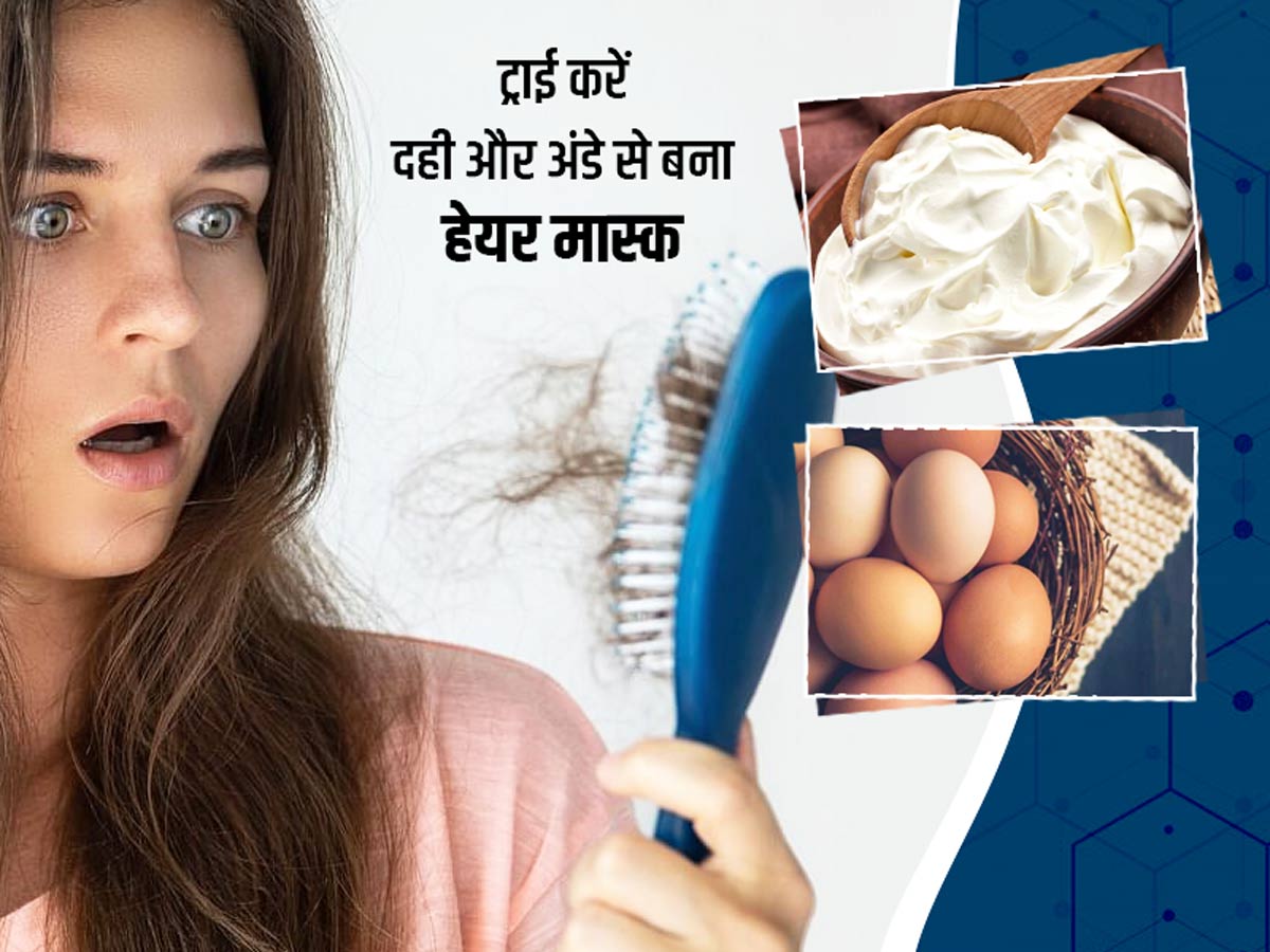 Hair Mask Made of Yogurt and Egg to Get Healthy Long and Soft Hair in Hindi  | दही और अंडे से बनाएं बेहतरीन हेयर मास्क, बाल बनेंगे मुलायम, रेशमी, घने और  मजबूत |