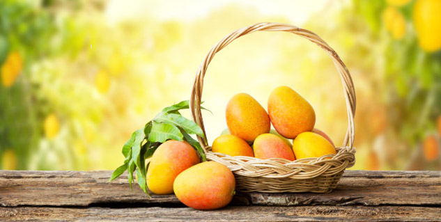 mango fruit