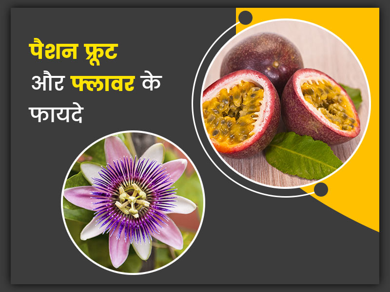 health-benefits-and-uses-of-passion-fruit-and-passion-flower-in-hindi