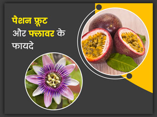 पैशन फ्रूट और फ्लावर दोनों होते हैं सेहत के लिए फायदेमंद, जानें इनसे मिलने वाले स्वास्थ्य लाभ