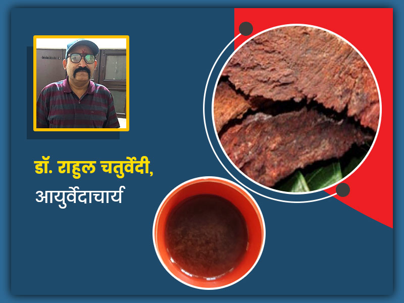 कोरोना में कैसे फायदेमंद है अर्जुन की छाल से बना काढ़ा? एक्सपर्ट से जानें कारण और फायदे