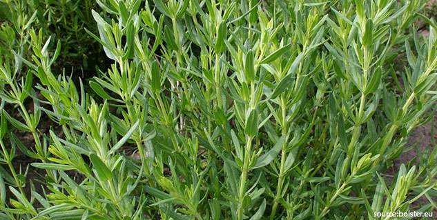 jufa benefits 