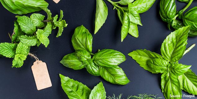 Ayurvedic-Remedies-to-Cure-Pneumonia