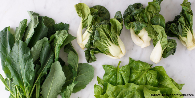 Inside4_lactatingmothersdiet