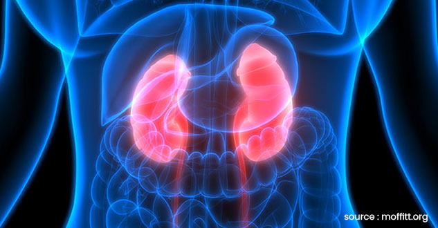 kidney cancer 