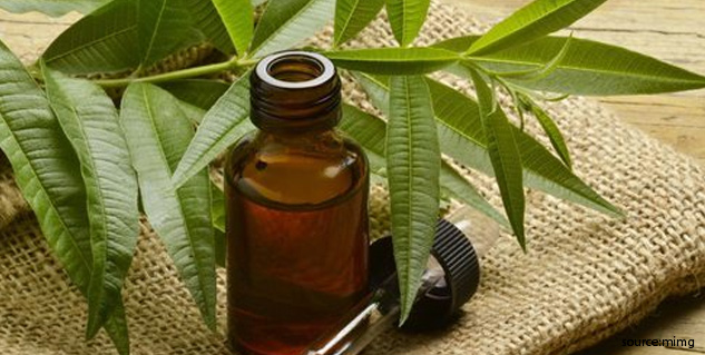 tea tree oil for dryness