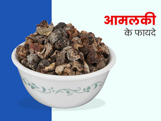 आमलकी रसायन है कई बीमारियों का आयुर्वेदिक इलाज, जानें क्या है ये और इसके औषधीय लाभ