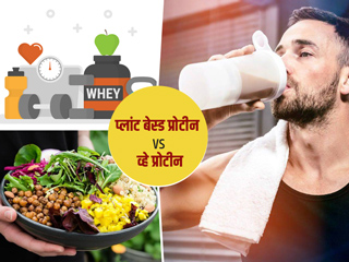 प्लांट बेस्ड प्रोटीन या व्हे प्रोटीन: कौन सा सप्लीमेंट है मसल्स बनाने के लिए बेस्ट, जानें डायटीशियन से
