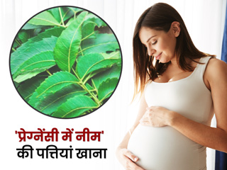 प्रेग्नेंसी में नीम की पत्तियां खाने से होते हैं ये 5 फायदे, जानें इसे खाने के दौरान बरतने वाली सावधानी