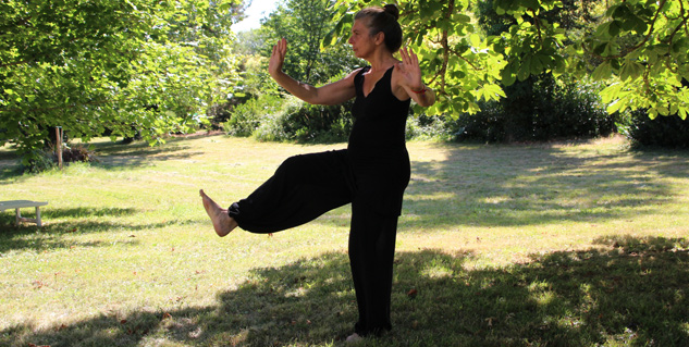 Tai chi is an ancient Chinese mind-body exercise system