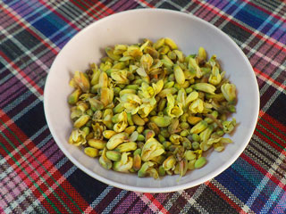 सहजन के फूल का सेवन करने से शरीर को मिलते हैं ये 5 फायदे, जानें डाइट में शामिल करने का तरीका