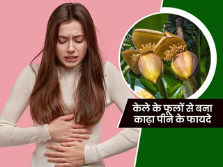 केले के फूल का काढ़ा पीने से सेहत को मिलते हैं ये 5 जबरदस्त फायदे, महिलाओं के लिए है विशेष फायदेमंद