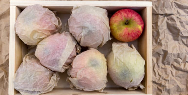 Inside2howtostoreapple