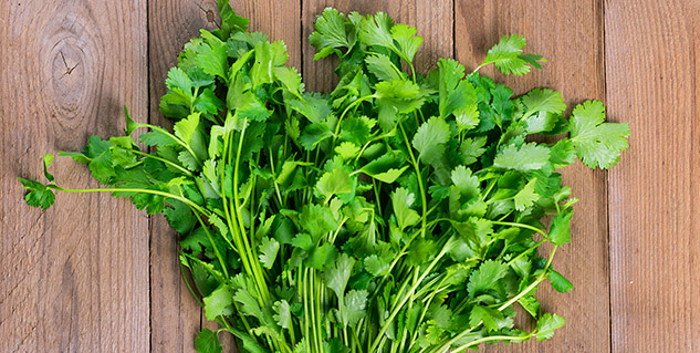 coriander