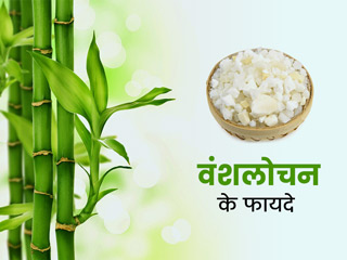 बच्चों से बड़ों तक सबके लिए फायदेमंद है वंशलोचन (तबाशीर), जानें इसके औषधीय लाभ और प्रयोग का तरीका
