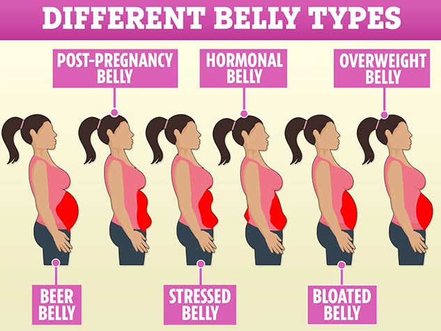 belly fat types