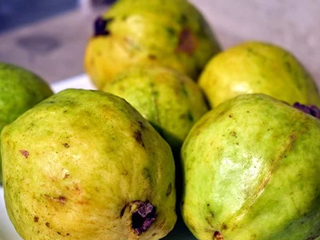 इन 5 समस्याओं वाले लोगों को नहीं खाना चाहिए ज्यादा अमरूद, जानें कैसे हो सकता है ये नुकसानदायक